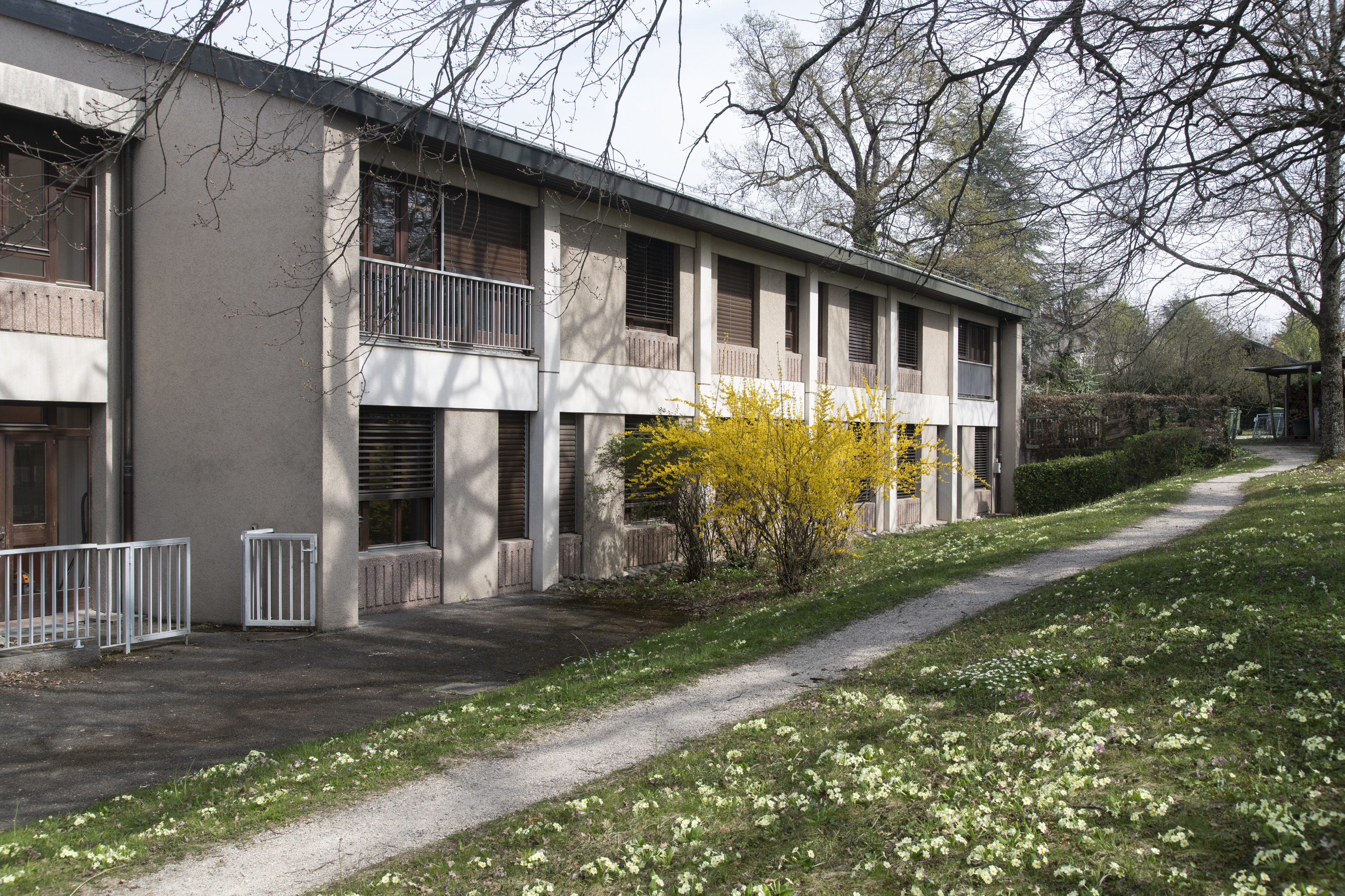 CMP Amandiers (Ch. de Mancy 57)