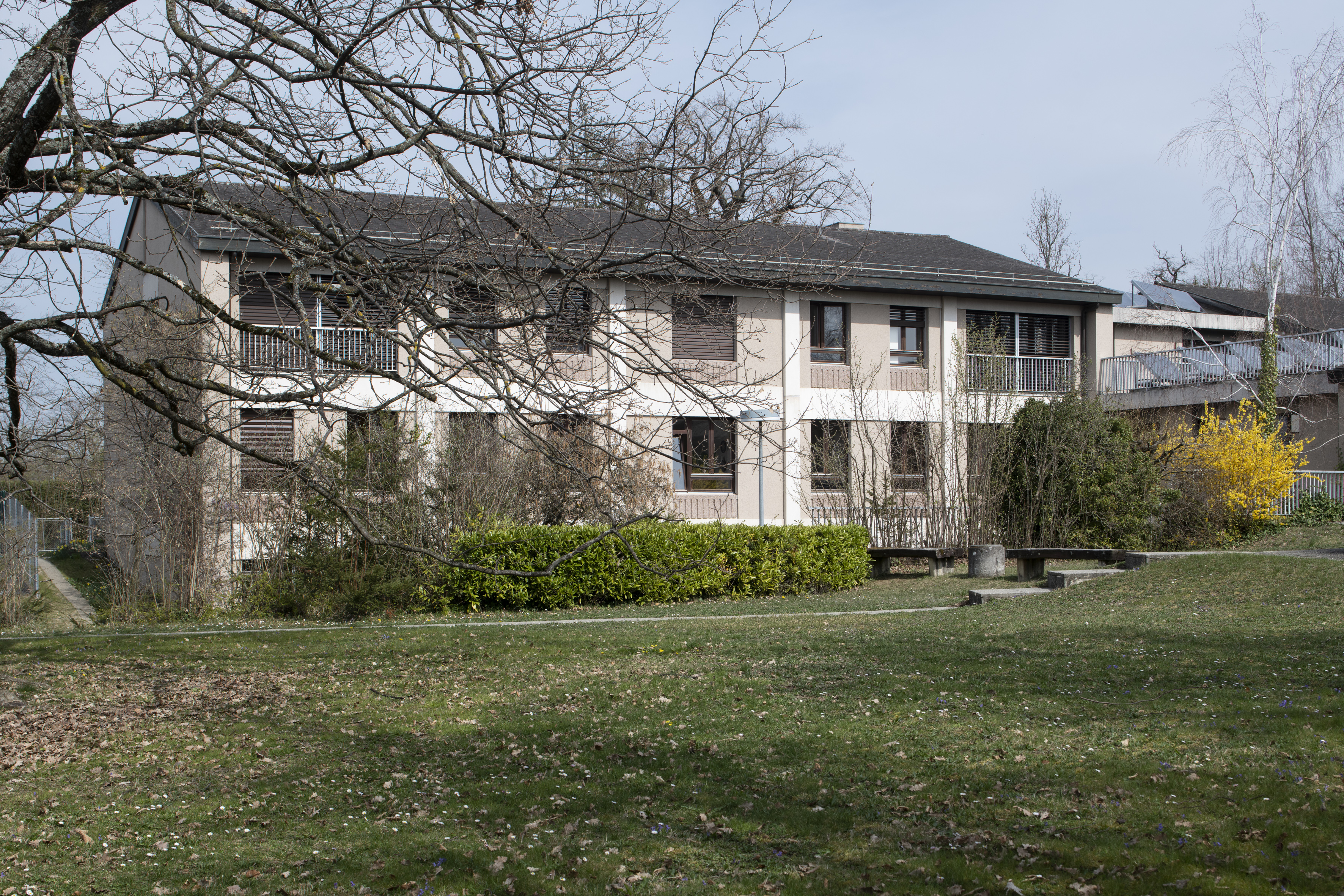 CMP Cerisiers (Ch. de Mancy 57)