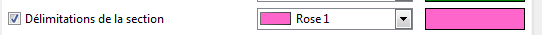 CreerSectionOptions