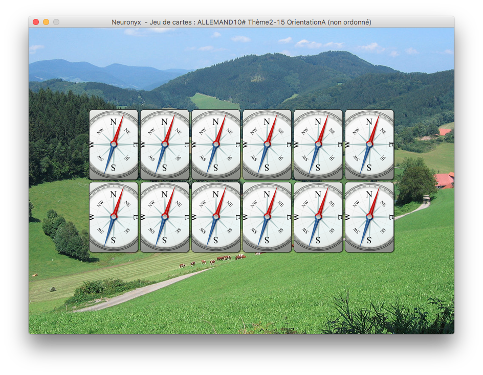 MacNeuronyx04